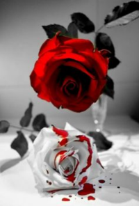 Book cover image for Inked In Crimson