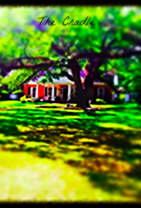 Book cover image for Sinistral