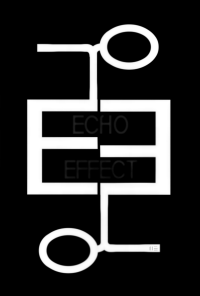 Book cover image for ECHO EFFECT