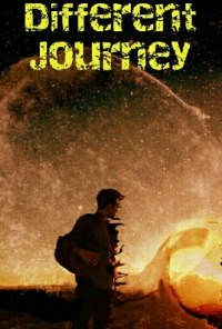 Book cover image for Different Journey