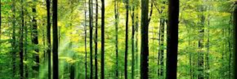 Cover image for post oikofugic, by JessicaHair