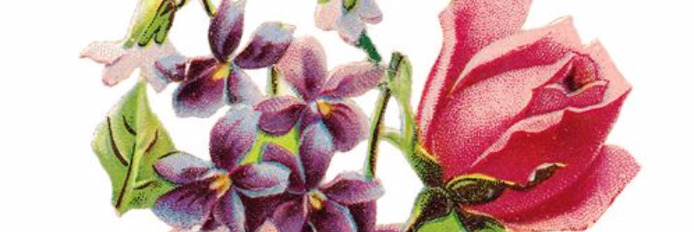 Cover image for post It has been said!, by Mali