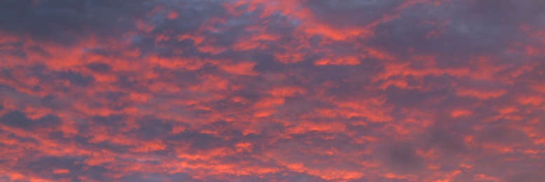 Cover image for post I want more, by Turakina