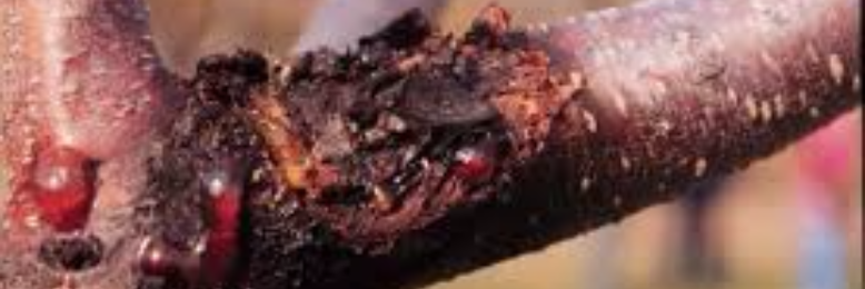 Cover image for post Trust, by CAlexander