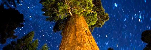 Cover image for post Lies, by DMYope