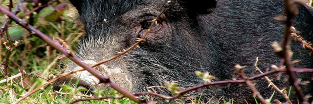 Cover image for post Fellowship, by DavidMark