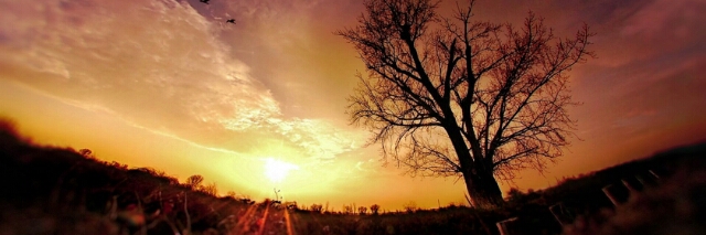 Cover image for post I believe, by Shells