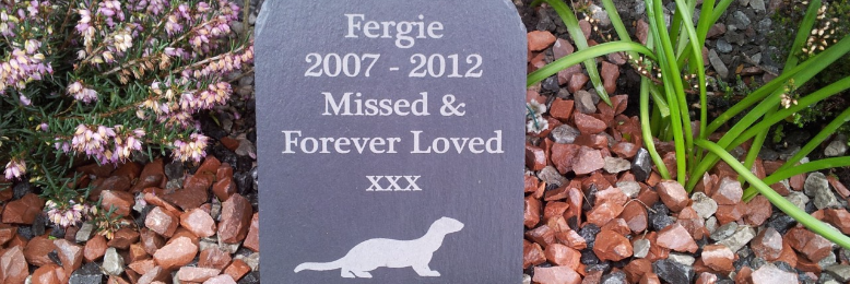 Cover image for post Prayers to You (and your Ferret), by ferretlover123