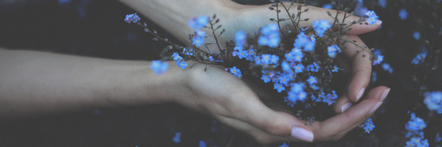 Cover image for post forget me, forget-me-not, by unspecific