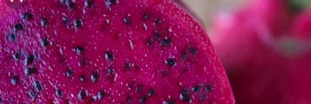 Cover image for post island undoing, by tenntea