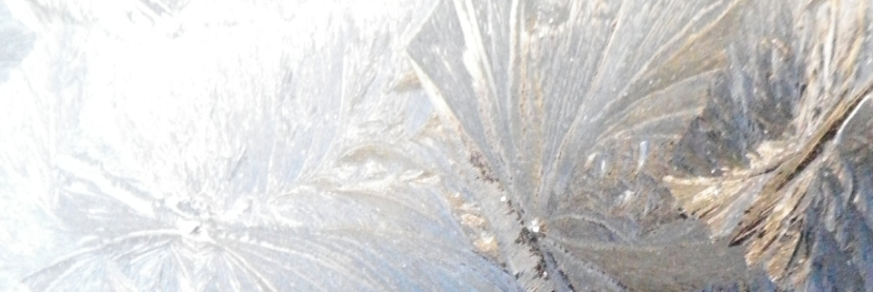 Cover image for post Untitled, by thehierophant