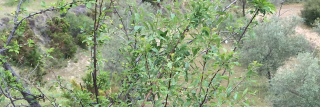 Cover image for post One life, by DavidMark