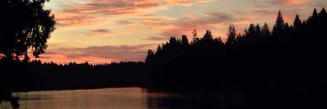 Cover image for post WTF, by Taylormade3791