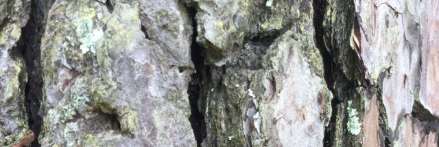 Cover image for post Time, by Taylormade3791