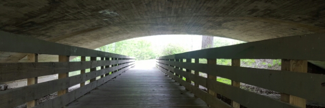 Cover image for post Losing, by Piaguibas05