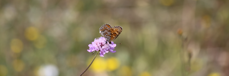 Cover image for post When the music stops, by DavidMark