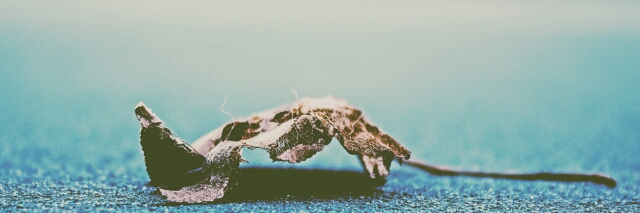 Cover image for post Consumption, by rustingates