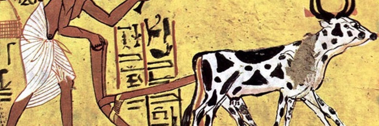 Cover image for post The Birth of Greed, by A