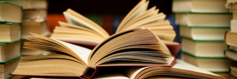 Cover image for post The Books Never Lie, by LadyLazarus