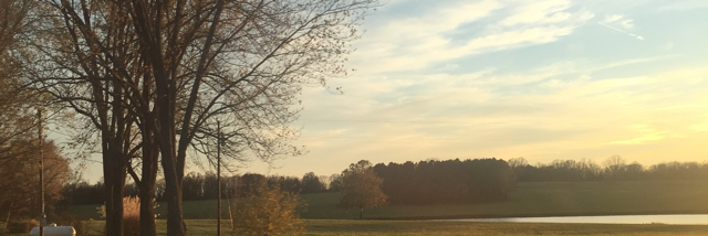 Cover image for post Fall, by Cyn