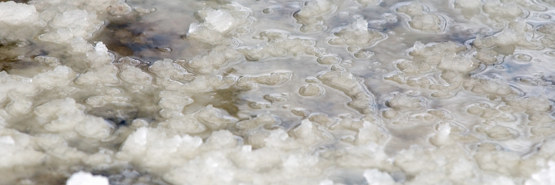 Cover image for post Slick, by DavidMark