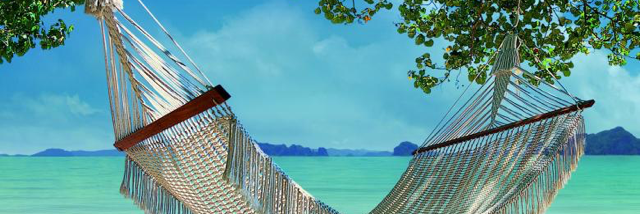 Cover image for post Only 8 Words :-/, by LillyZ