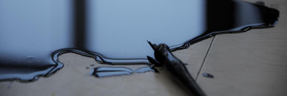 Cover image for post Entranced, by t_alva