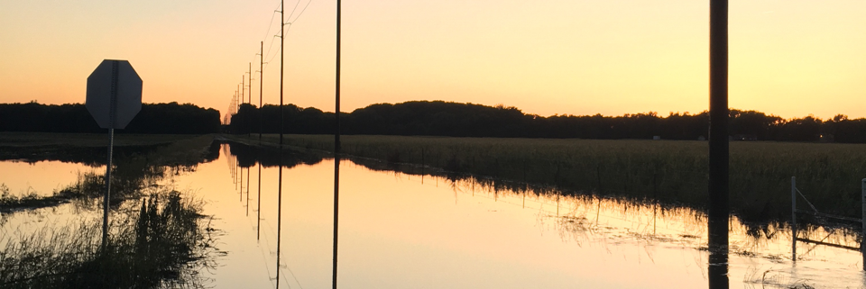 Cover image for post Ideal, by Autumnpath