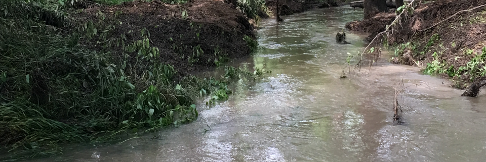 Cover image for post Perfect, by Autumnpath