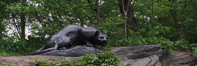 Cover image for post 14 years a slave to, by happyhomemaker5