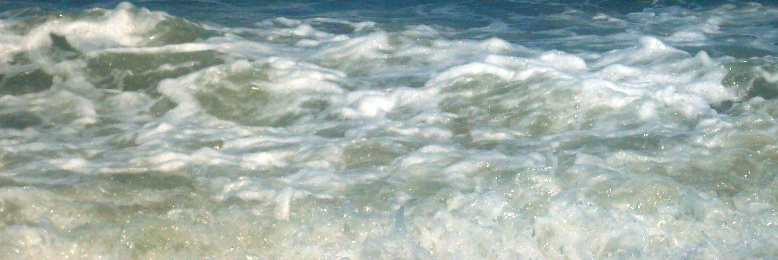 Cover image for post Run With the Wind, by sandflea68