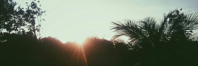 Cover image for post The Sun Is Setting, by skellyton