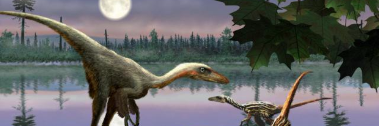 Cover image for post The Night Hunter, by Harry_Situation