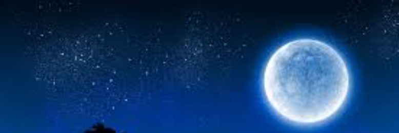 Cover image for post The Call, by EmW