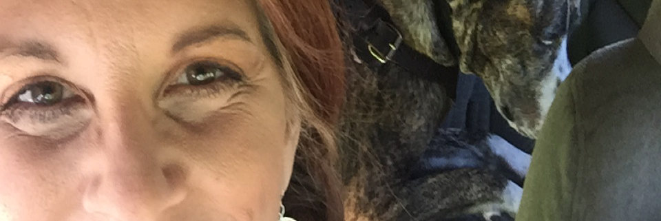 Cover image for post Life is Good, by Vyxyn