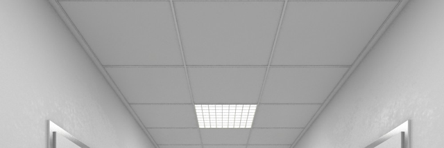 Cover image for post The Facilitators --- pt.I, by kaye