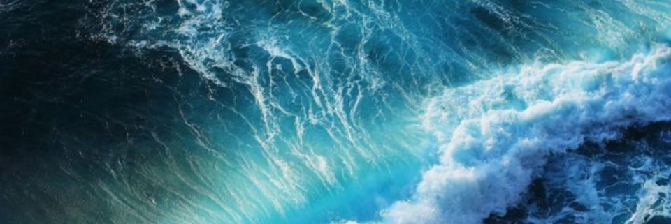 Cover image for post Peaceful Transition, by Erin