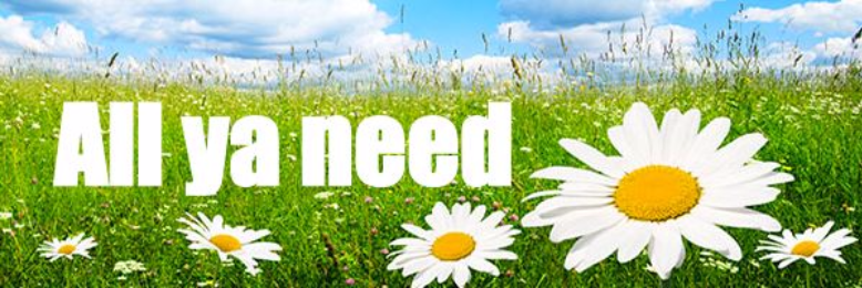 Cover image for post Air, Water, Food, & Love, by JimLamb