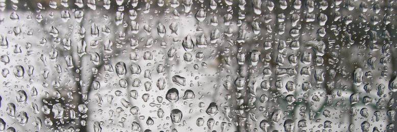 Cover image for post By Any Name, by celtpoet