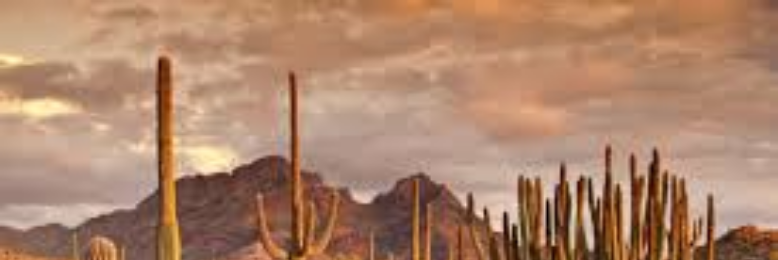 Cover image for post TOO HOT TO HANDLE, by pwray