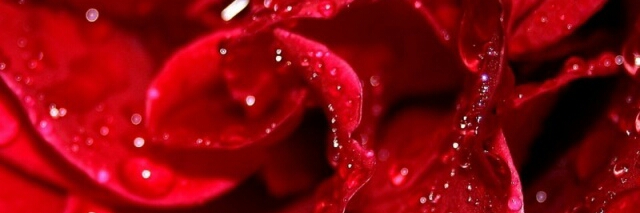 Cover image for post Heat, by rustingates