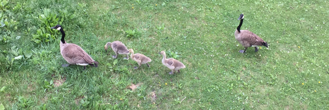 Cover image for post Stop Hating the Other, by kengelhart