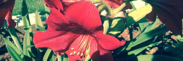 Cover image for post Untitled, by Ashok314