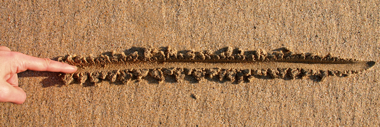 Cover image for post Rift, by SilverWolf