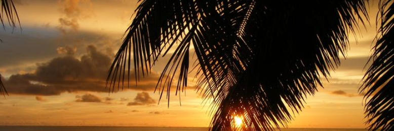 Cover image for post Untitled, by Lamara