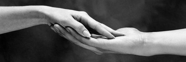 Cover image for post Forgiveness, by BaileyBug