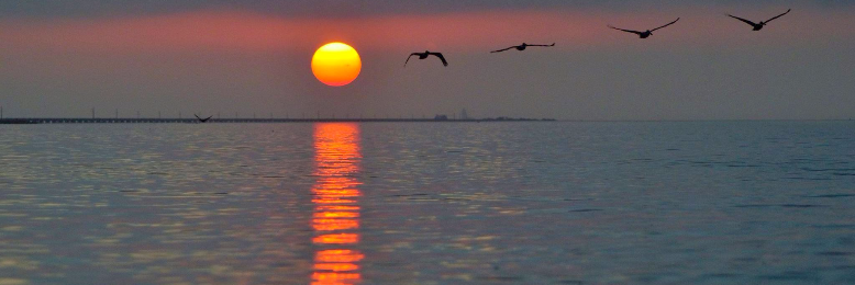 Cover image for post Sun Soliloquy (alliteration poem), by sandflea68