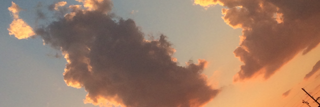 Cover image for post Untitled, by Rev_Frenchie