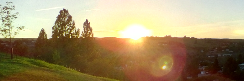 Cover image for post Poiema (poy'-ay-mah) Work of God, by jujubug712