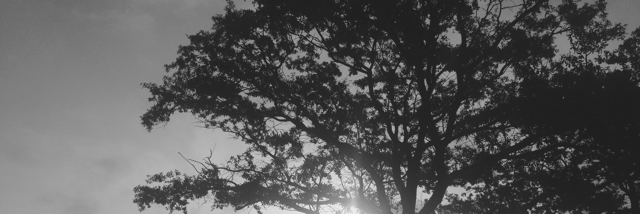 Cover image for post Untitled, by Dysfunctional